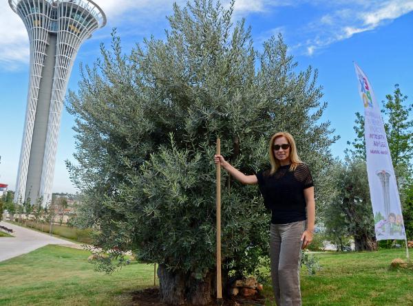 Lara Fabian konser öncesi zeytin ağacı dikti