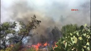 Kemer’de Orman Yangını
