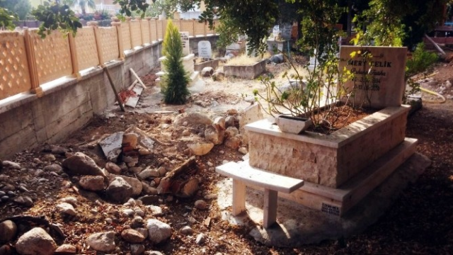 Kedi ‘Arap’ın’ Mezarı Tahrip Edildi