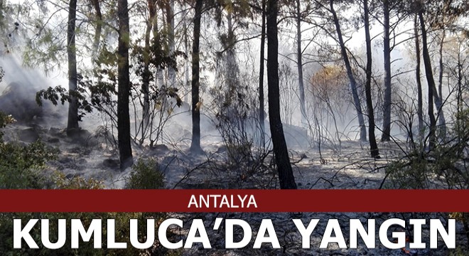 Kumluca’da orman yangını