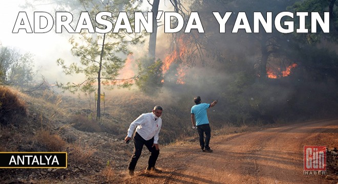 Adrasan’da orman yangını