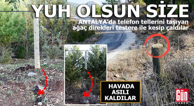 Antalya’da telefon teli taşıyan ağaç direkleri kesip çaldılar