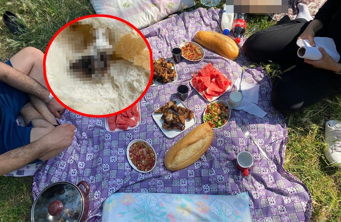 Antalya’da piknik hayali adliyede son buldu! Ekmeğin içinden fare çıktı