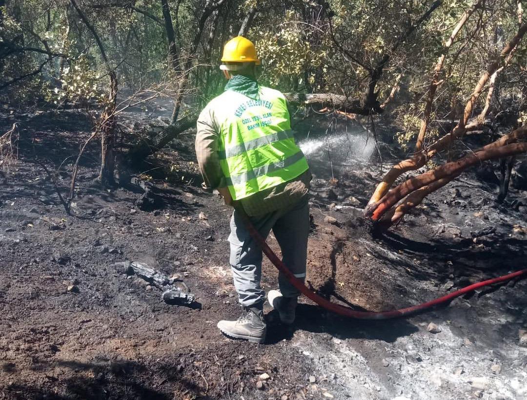Belediye ekipleri yangına müdahale ediyor